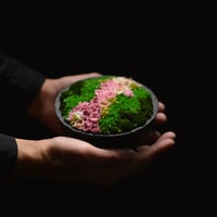 【Sakura Yama】  Hanayama preserved flower