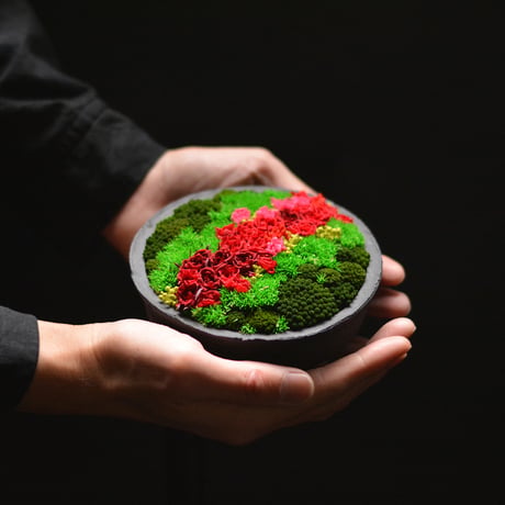 【Akane Yama】  Hanayama preserved flower