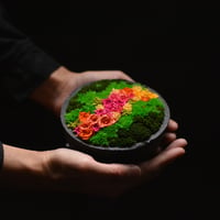 【Utsuroi Yama】  Hanayama preserved flower