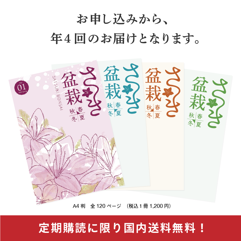 さつき盆栽春夏秋冬 年間定期購読（年間4冊分） | さつき盆栽春夏秋冬