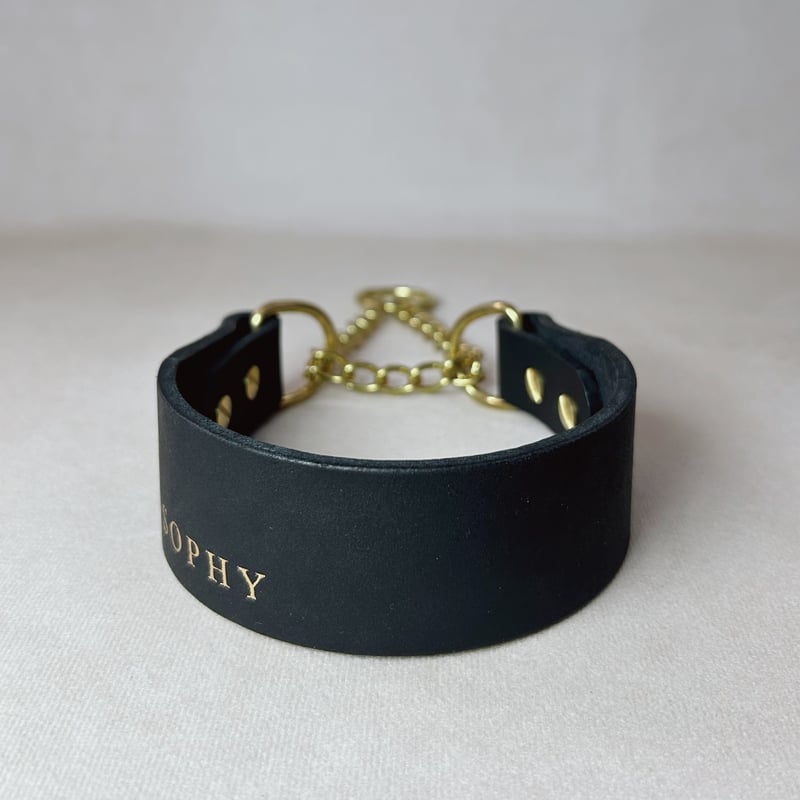 Wanbull SN18H8 しつけ用首輪 ブラック Wanbull SN18H8 しつけ用首輪 ブラック 楽天市場】大型犬（しつけ用