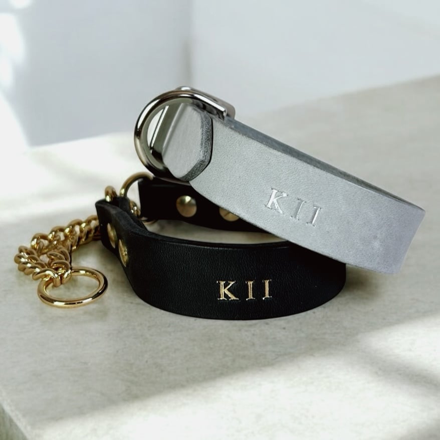 Belt Collar / 25mm | Pawffin