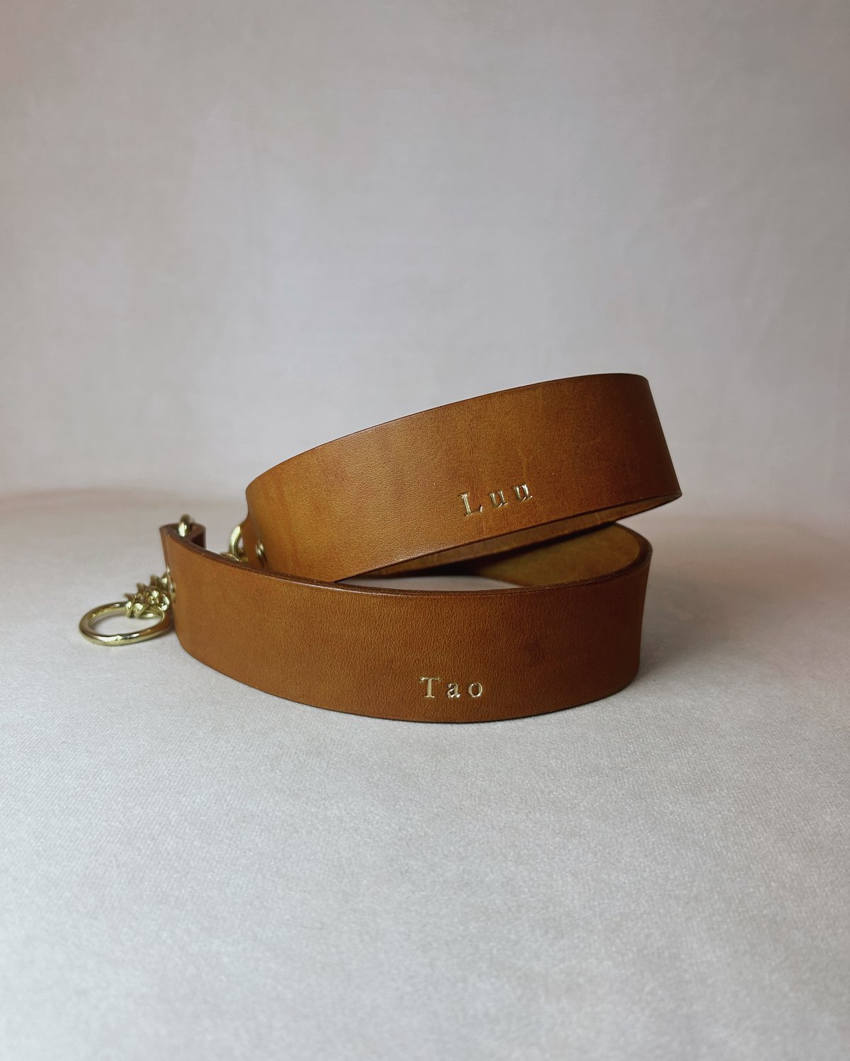 Tod’s 小型犬用　ブラウンレザー首輪　ゴールド金具 Tod's 小型犬用 ブラウンレザー首輪 ゴールド金具 - メルカリ