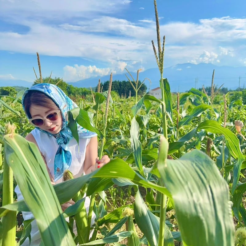 農薬不使用〜にこファーム〜ページ 楽天市場】【ふるさと納税】旬のこだわり 京野菜 セット 6～10