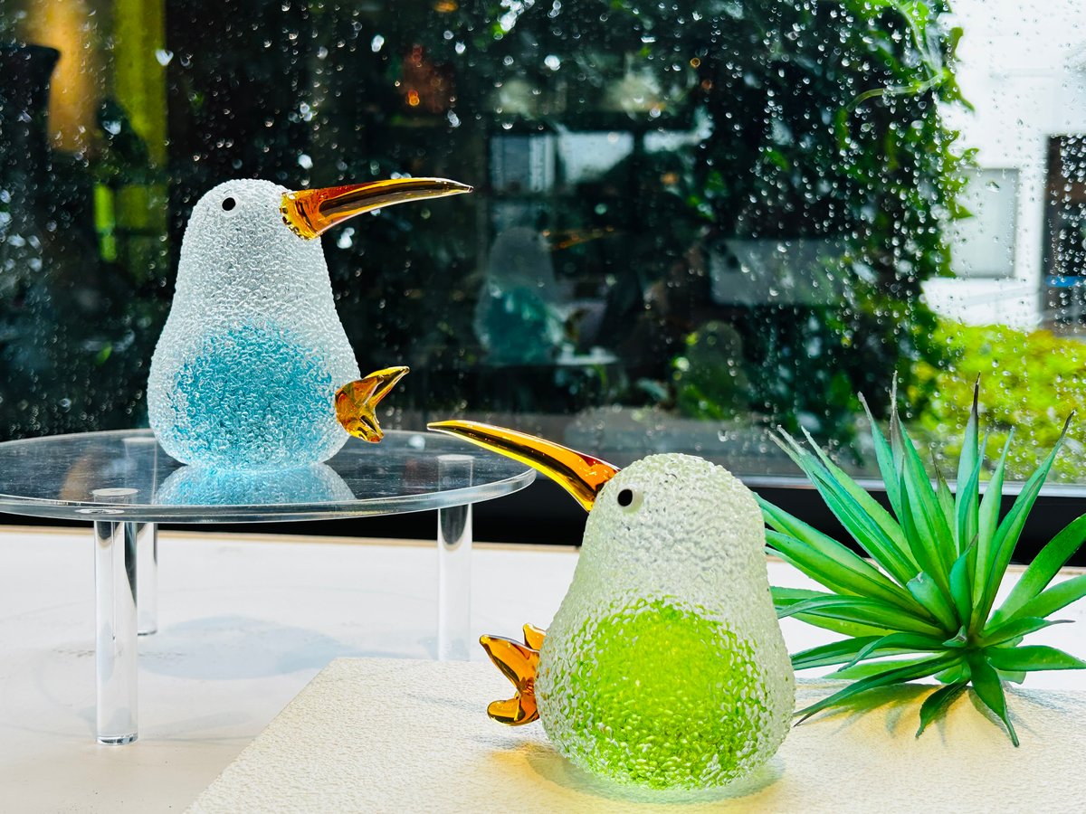 【送料込】旅人の木12節⑦ fit=scale-down,w=1200