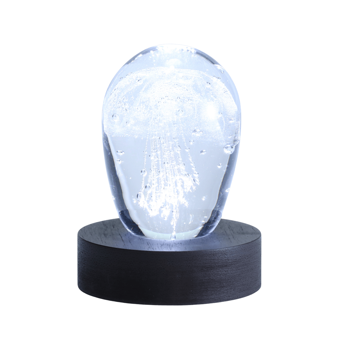 monoJellyfish /Fan Club４枚組ジェリーフィッシュ 楽天市場】【100円OFFクーポン】フローティング ジェリー