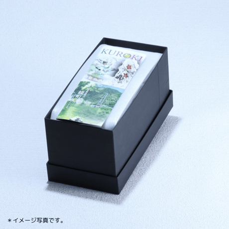 銀彩タンブラー「光琳」彩　アンバー