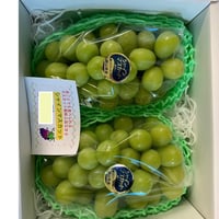 岡山県産　シャインマスカット 2kg箱（３〜４房) 種無し