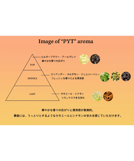 PYT GIN (旧ラベル)