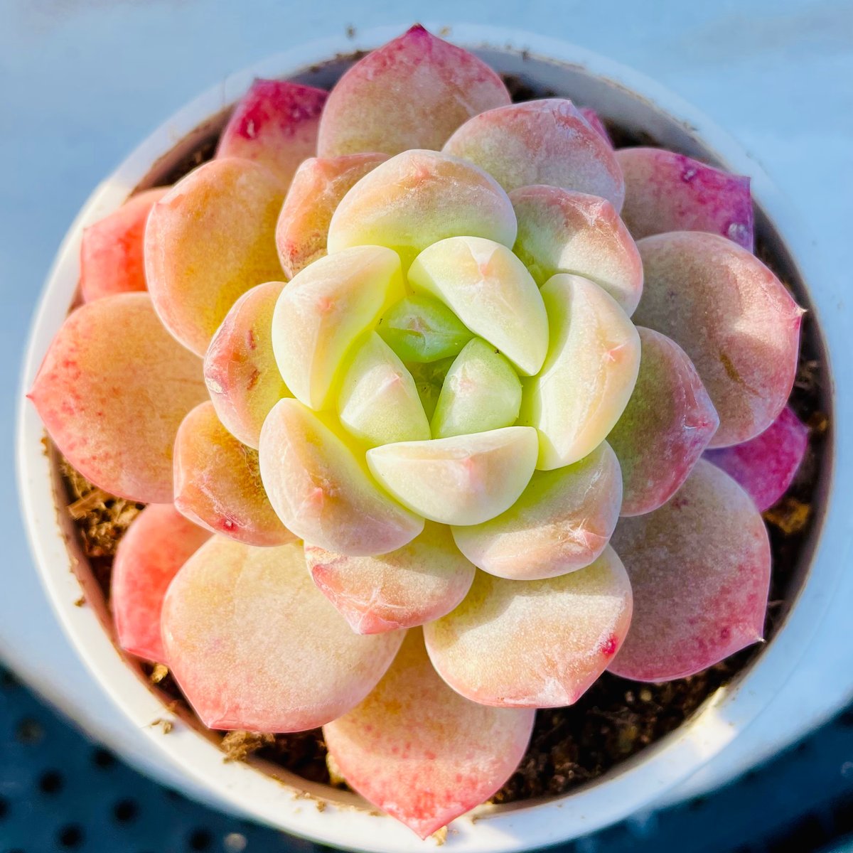 fit=scale-down,w=1200