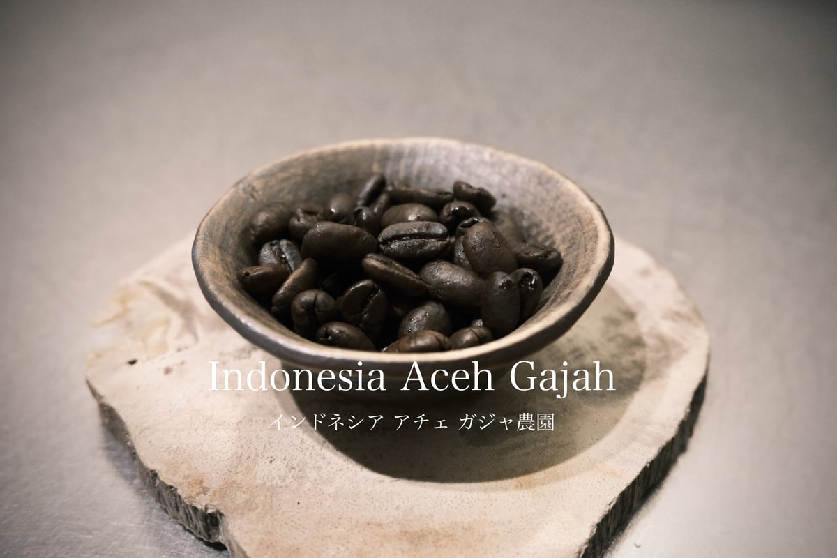インドネシア アチェ ガジャ農園 | アナログと珈琲 - AnalogandCoffee