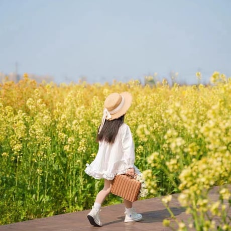 春夏 女児 無地長袖シャツ襟切り替えワンピース