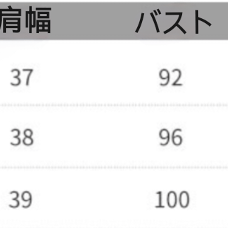 長袖ワンピース チュール切替