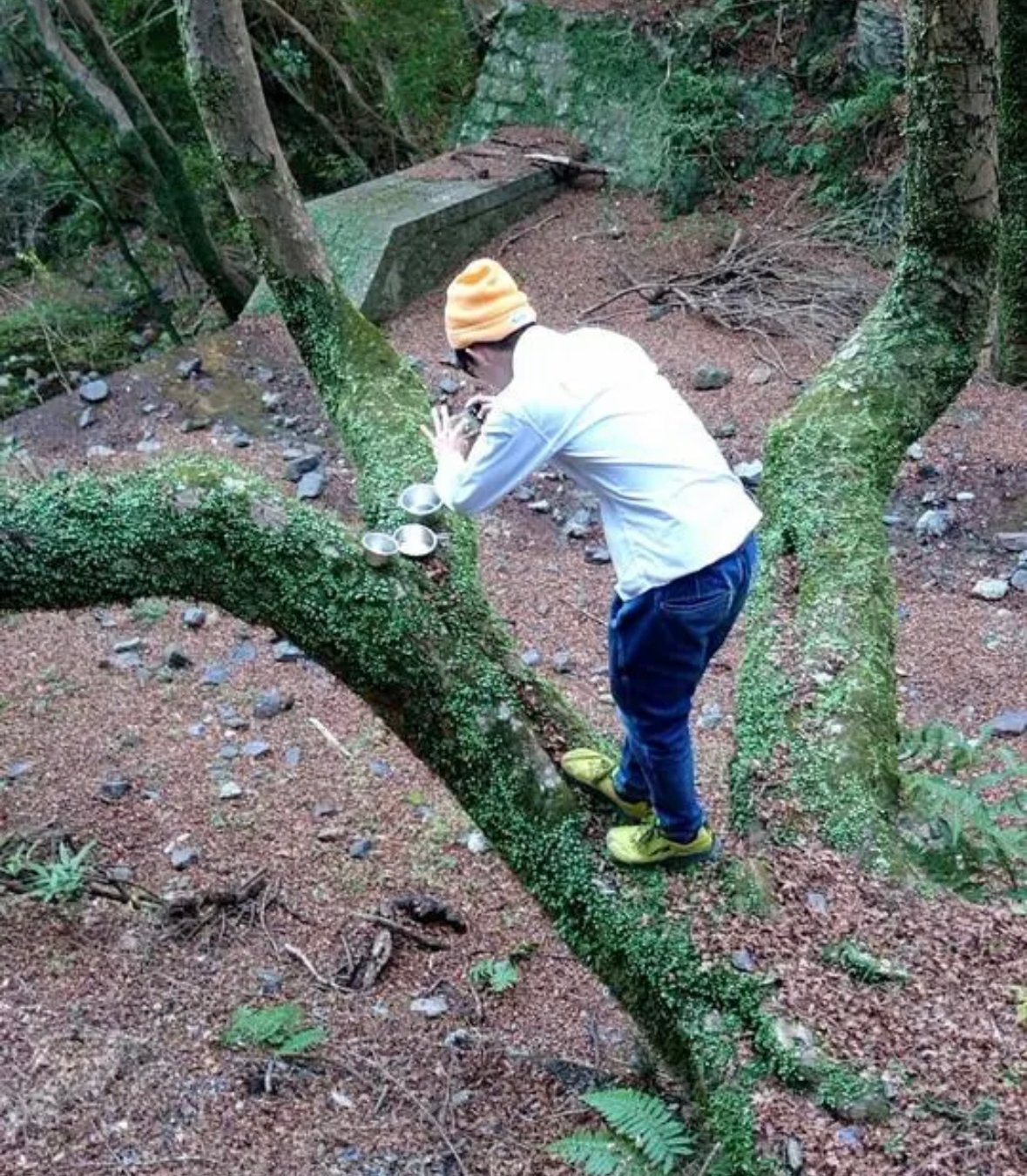 ROF刻印】シェラカップ | ROF