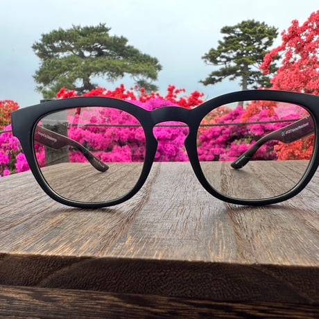 ROF Sunglasses Bosllington（Daily/Hike）