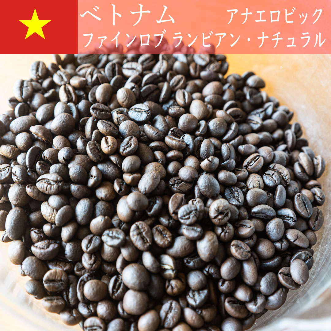 ベトナム ファインロブ ランビアン アナエロビック ナチュラル | 自家