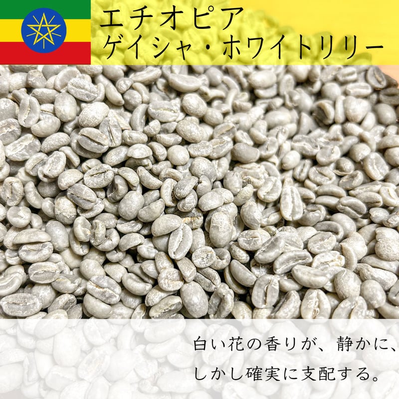 コーヒー生豆　5kg エチオピア　ゲイシャ　G1 ホワイトリリー（ウォッシュト） エチオピア・ゲイシャ・ホワイトリリー（ウォッシュト） | 自家焙煎
