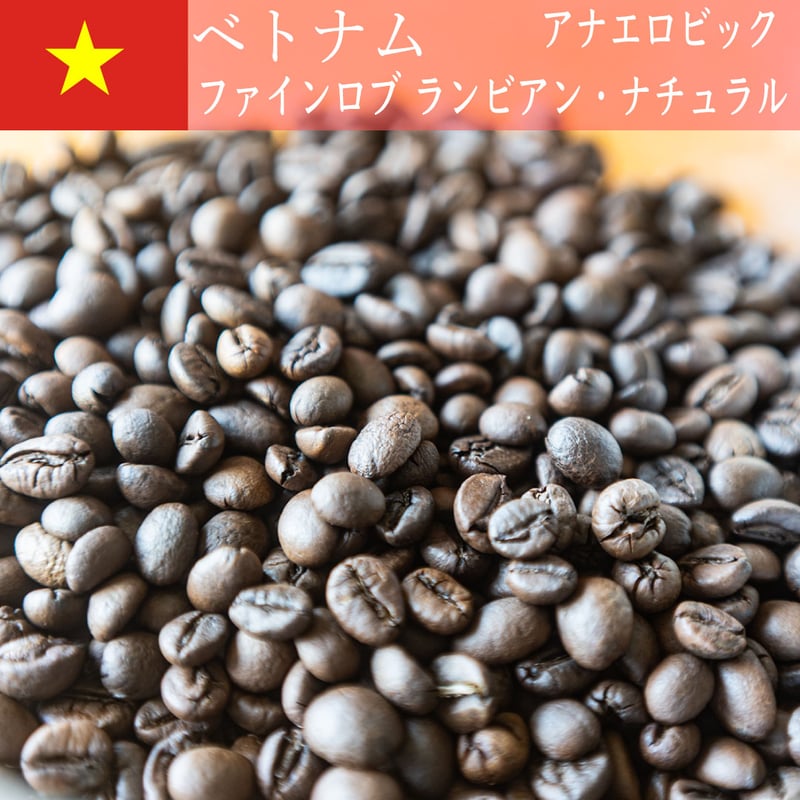 ベトナム ファインロブ ランビアン アナエロビック ナチュラル | 自家