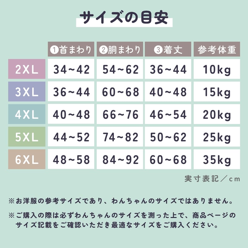 ベアーTシャツ 【2XL～6XL】 ベアー クマ ピンク ミントグリーン