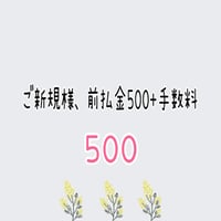 前払い金500