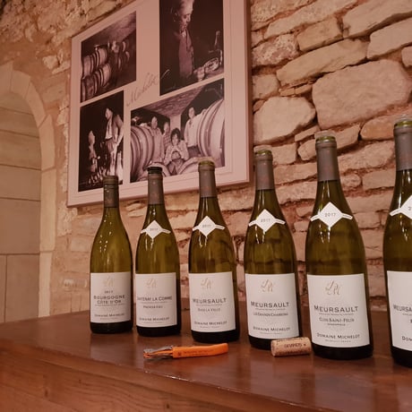 Domaine Michelot - Bourgogne Cote d'Or Blanc