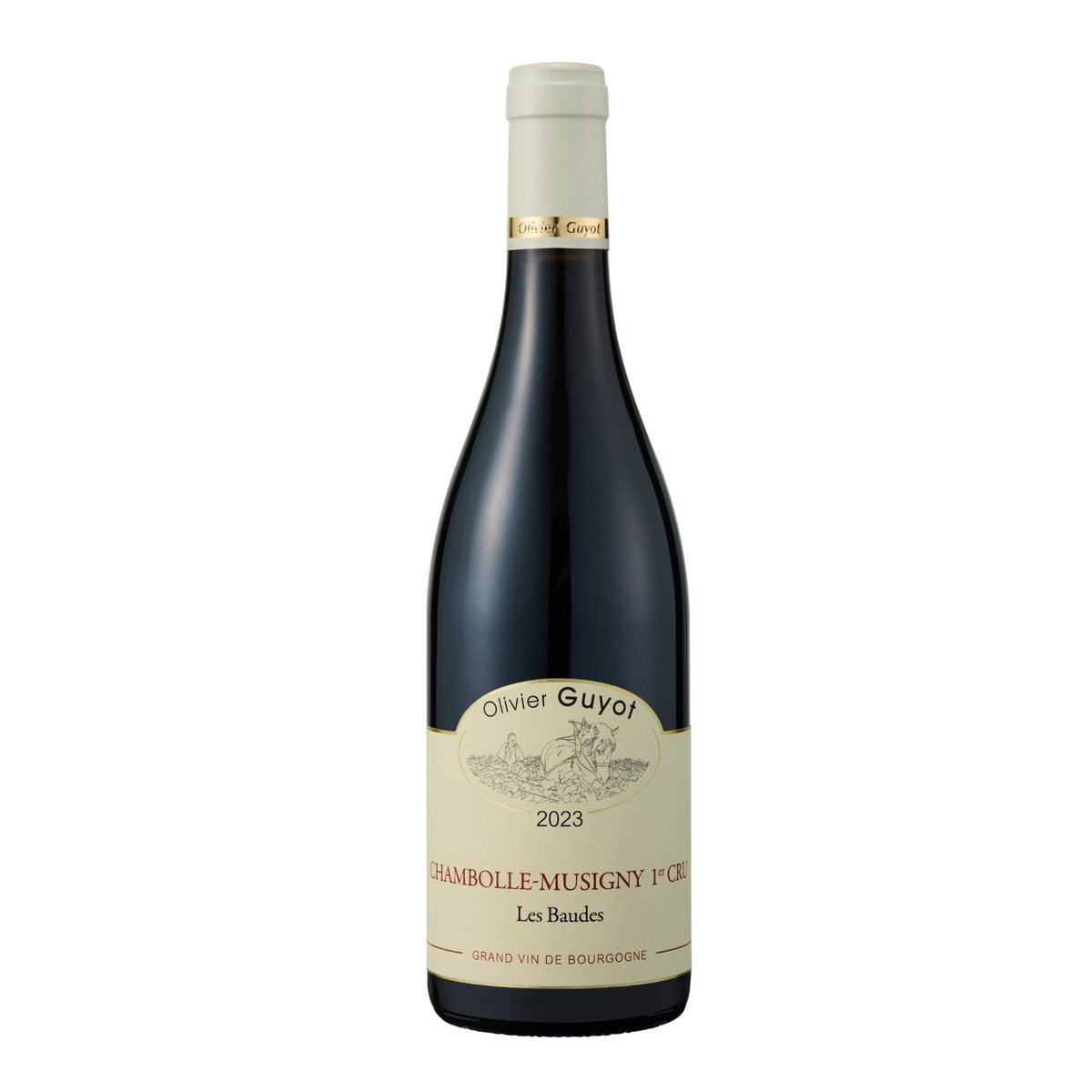 Olivier Guyot - Chambolle-Musigny 1er Cru 