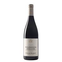 Domaine Michelot - Bourgogne Cote d'Or Rouge