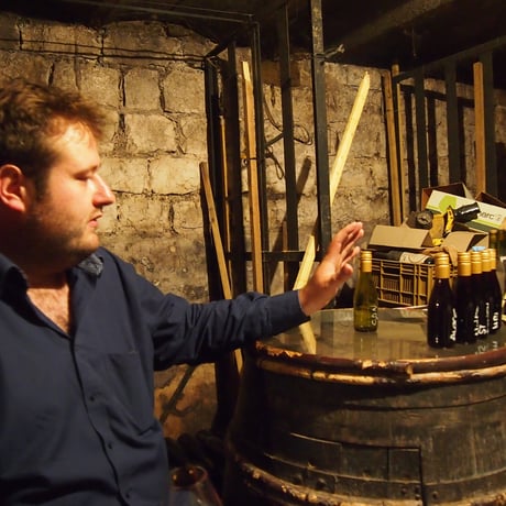 Domaine Julien - Nuits-Saint-Georges Aux St. Juliens