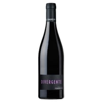 Domaine de Fondreche - Divergente Rouge