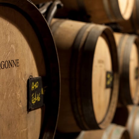 Henri Giraud - Argonne