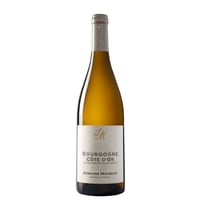 Domaine Michelot - Bourgogne Cote d'Or Blanc