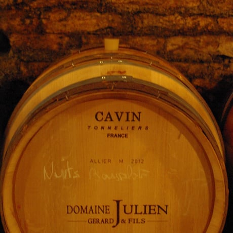 Domaine Julien - Nuits-Saint-Georges
