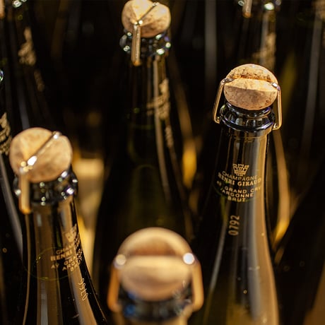 Henri Giraud - Argonne