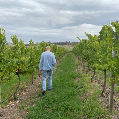 Kanta - Kanta Riesling