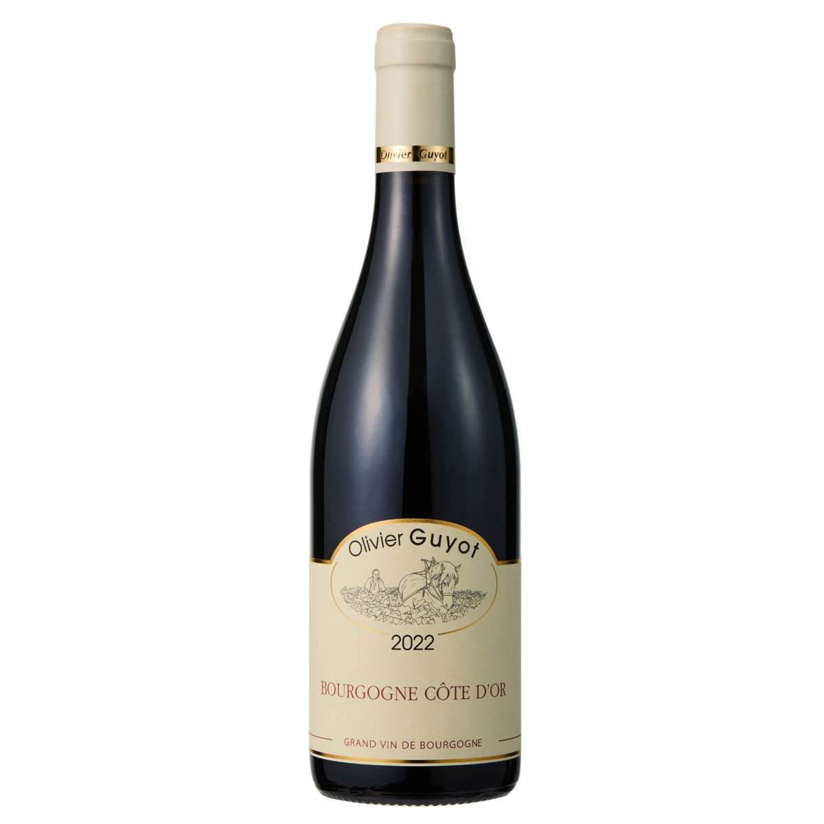 Olivier Guyot - Bourgogne Cote d'Or Rouge | アンリ