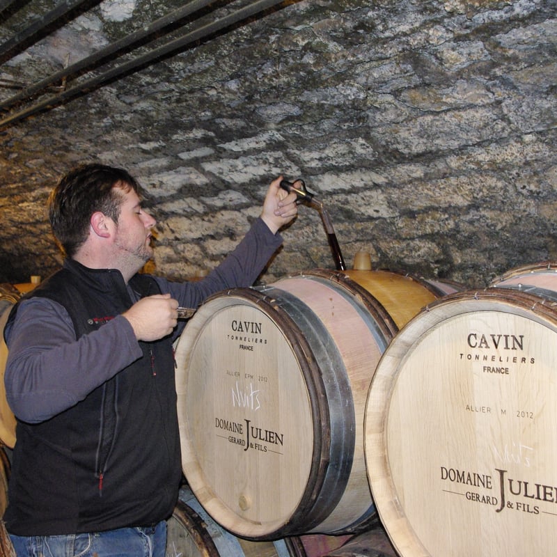 Domaine Julien - Nuits-Saint-Georges Aux St. Ju