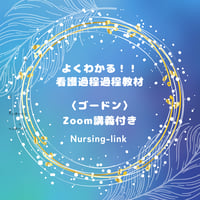 よくわかる！看護過程教材(ゴードンZoom解説付)