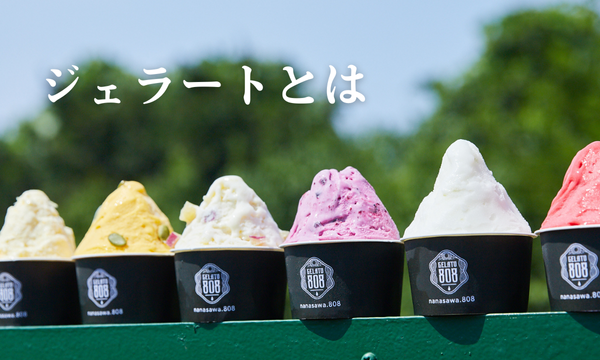 YUKIWA 業務用ジェラートスパチュラ（大）7本 GELATO808 YUKIWA 業務用