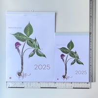 2025年 拓画 monthly