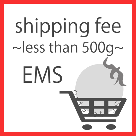 International shipping fee ~less than 1kg~ / 海外への料金（少量）