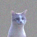 ねこのゆびわやさん