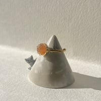 雪中花のゆびわ(朝)