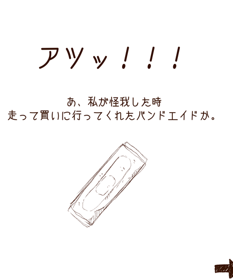 熱(273×220mm)