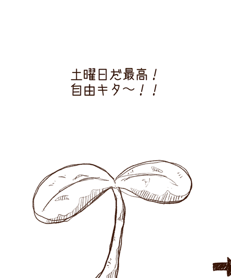 Seed (150×150mm)
