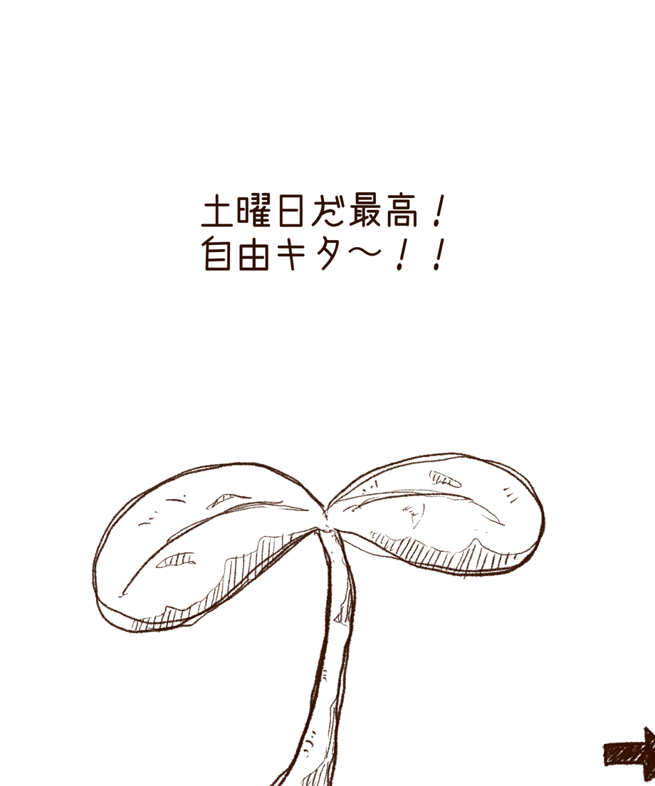 6929828a427a881a5e745843