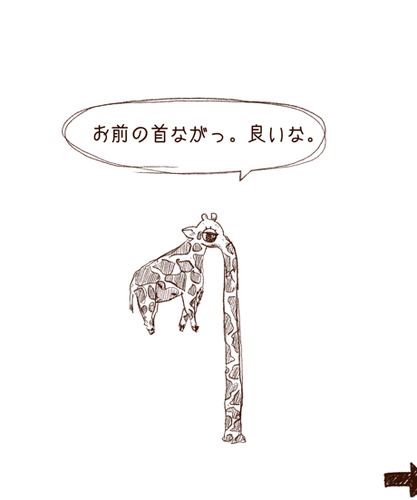 長い所(333×242mm)