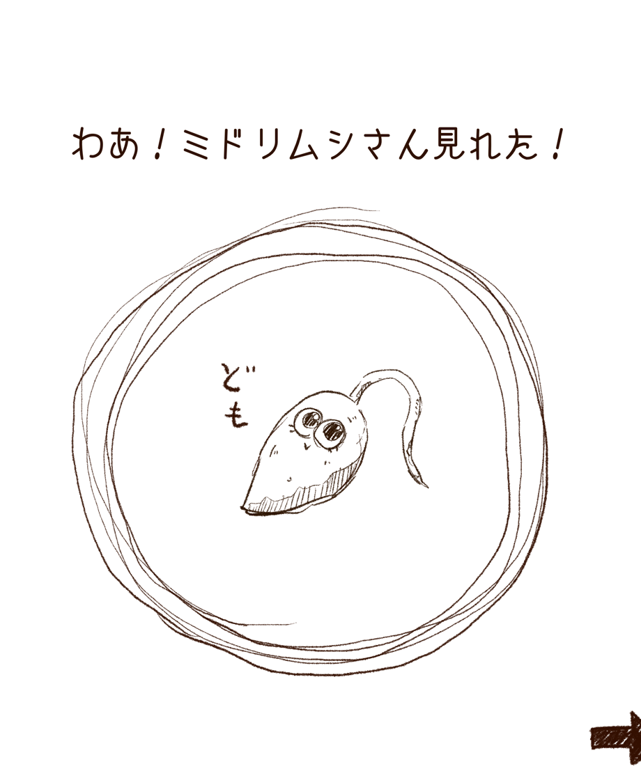 692985ecb8b2996aa192bfa0