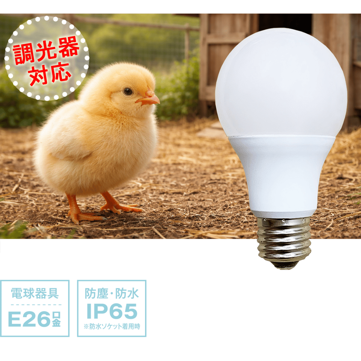 調光機能付LED電球（白熱球40W相当/電球色） FLA06L-30-D 【20個入
