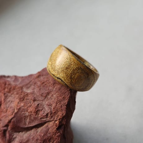 ★連休中 値下げ★深海松 海松 根付 小根付 ネックレス 虹色珊瑚 虹彩珊瑚 | STORES