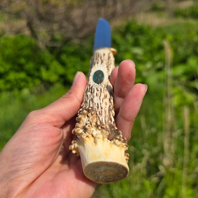 minouo150 鹿の角 2対セット minouo150 鹿の角 2対セット minouo150 鹿の角 2対セット 1088382stm_4.jpg